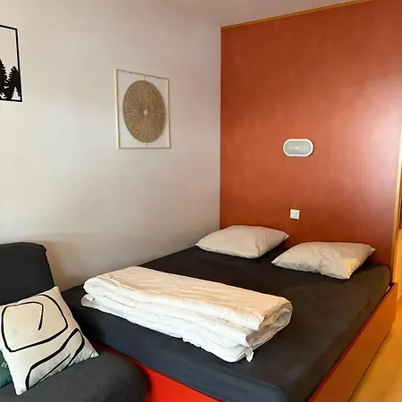 Accueillant A Gerardmer, 31 M² Avec Vue Sur Montagne *