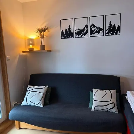 Accueillant A Gerardmer, 31 M² Avec Vue Sur Montagne Апартаменты *