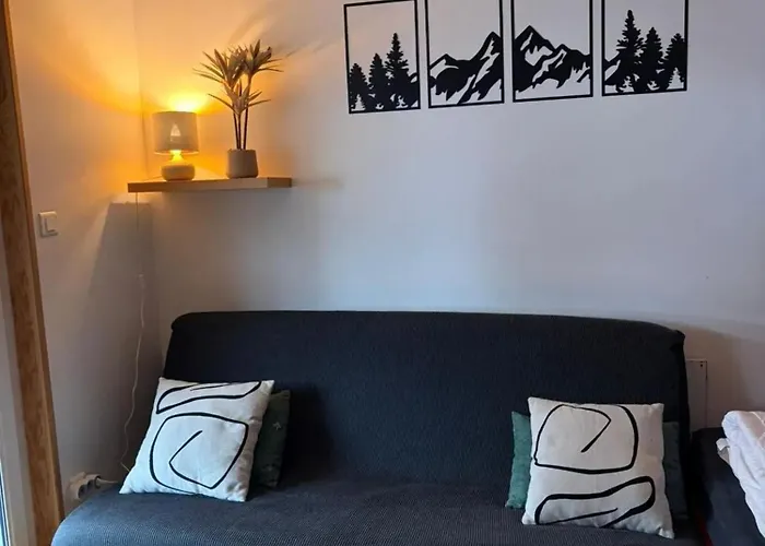 Accueillant A Gerardmer, 31 M² Avec Vue Sur Montagne Apartmán *