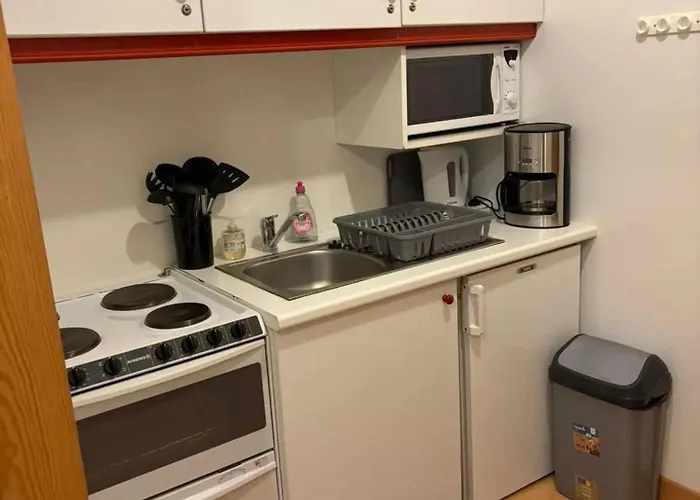 Accueillant A Gerardmer, 31 M² Avec Vue Sur Montagne *